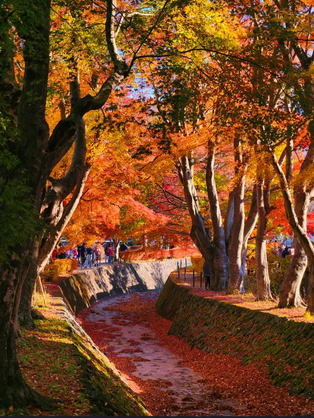 30326376d4a08b6a2a7366c49955ce22-sz_757042 30326376d4a08b6a2a7366c49955ce22-sz_757042