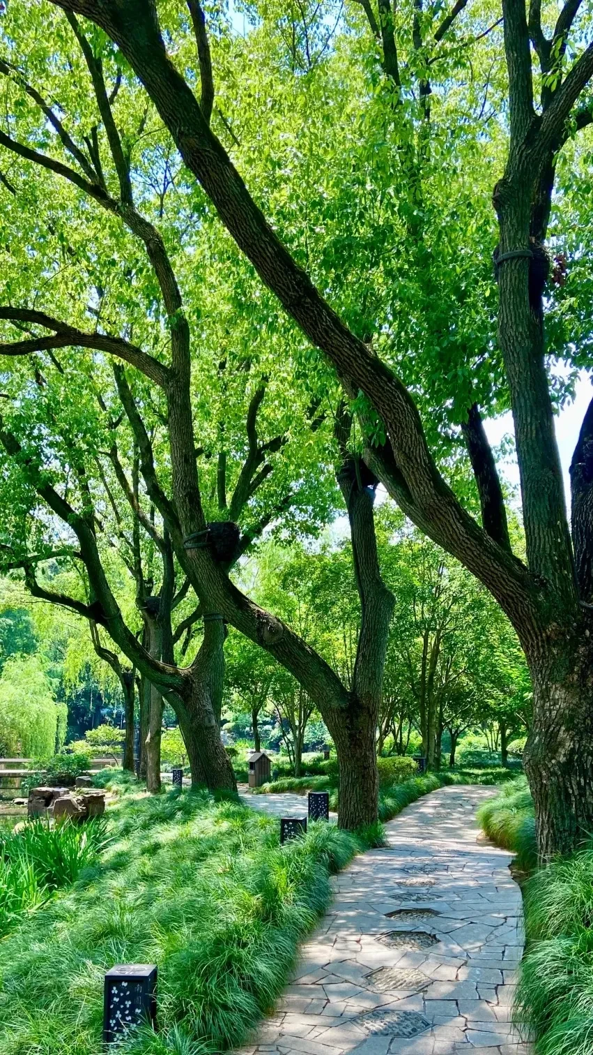 30a46140a3212e32b34d228e9a4bf7c1-sz_958883