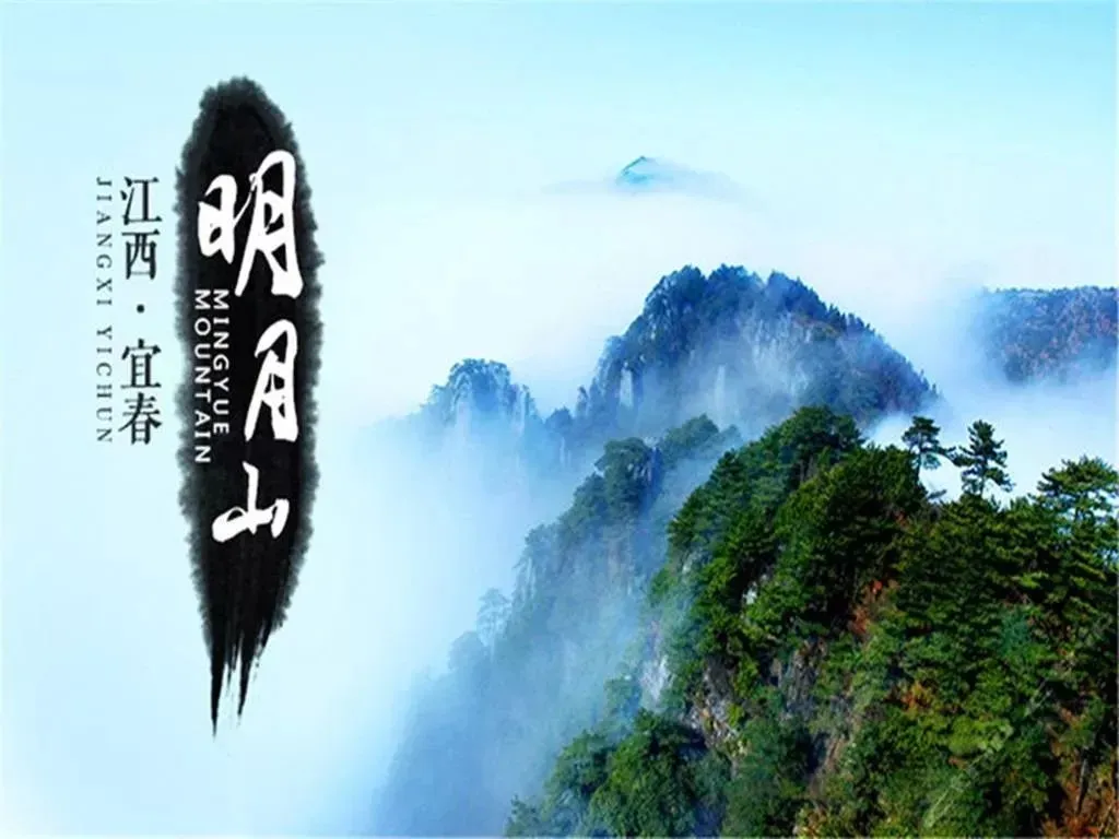 30c2afc74ec9d167f5d209549f34656f-sz_139953