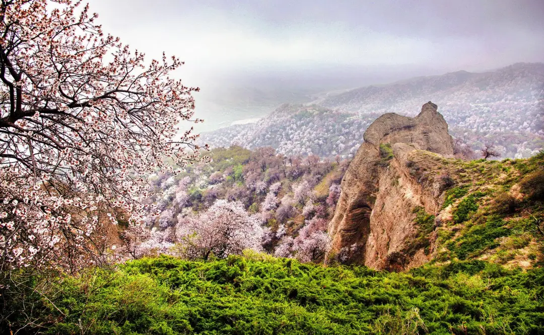 30e77c7cbdc58cf864d36b32ba6d8122-sz_838663