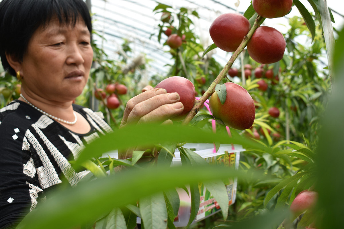 31100fa9a7713f801599e5fb7430cb63-sz_402295 31100fa9a7713f801599e5fb7430cb63-sz_402295