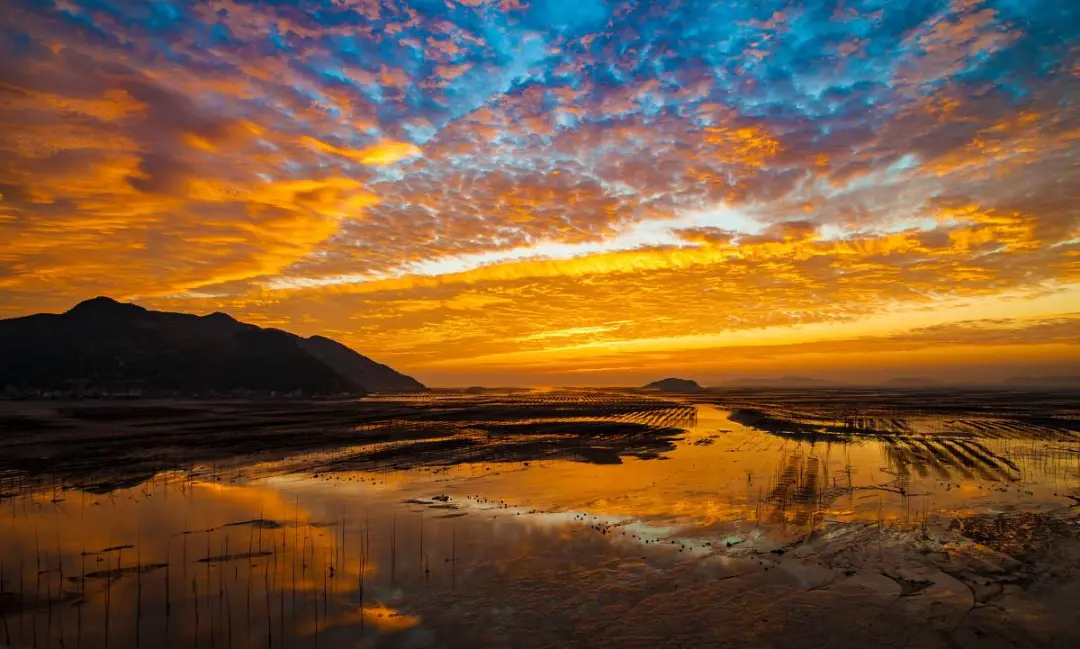 3112986e311f44b2f8b8c3bafe9d59c8-sz_129554