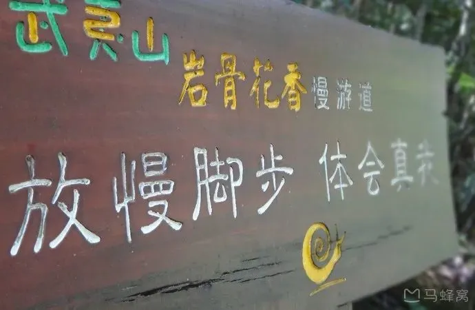 312a259719fdd1c269017a971ec0ba04-sz_39250