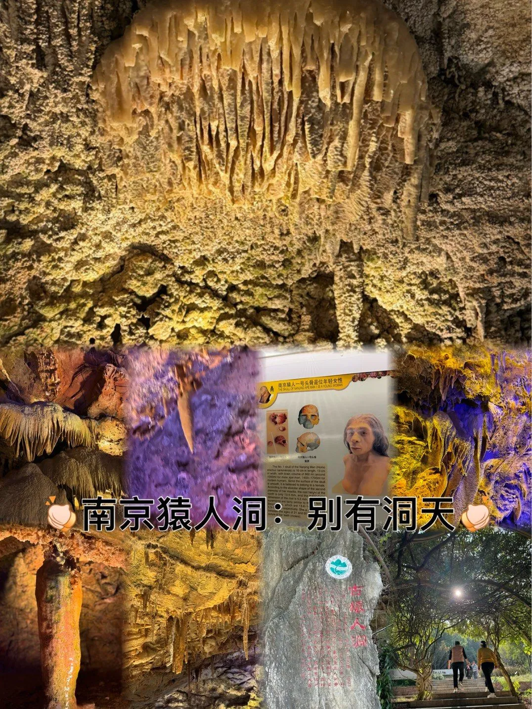 318fb63902b992013f73ed74171086d9-sz_492599