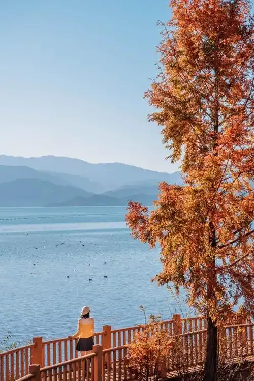 31a5e453f0739f0d1b923b242d2ac8f9-sz_675558