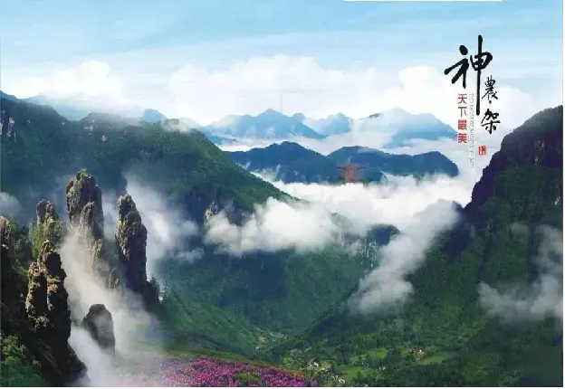 31d3005f9e270676191484c6d782f418-sz_431584 31d3005f9e270676191484c6d782f418-sz_431584