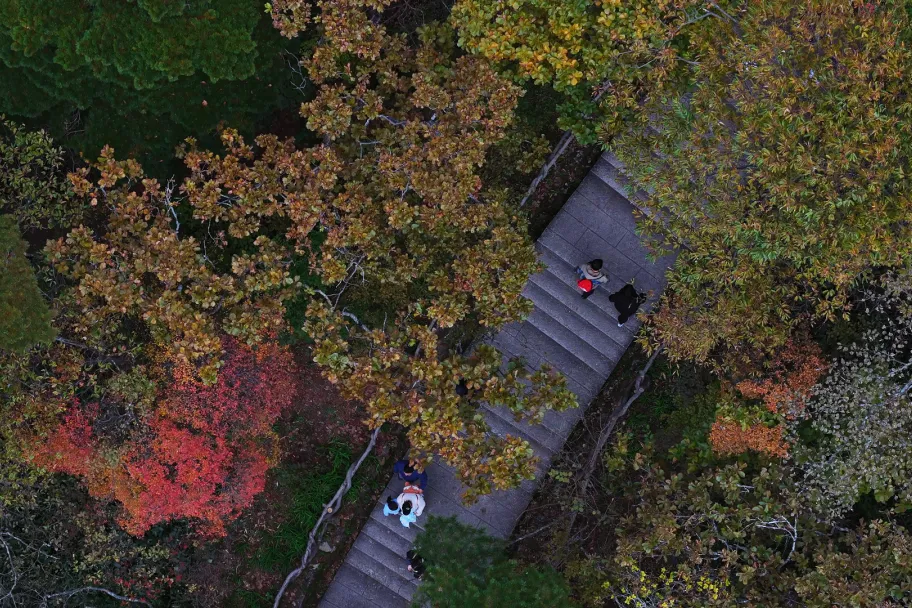 3295ad1832daf22006dd9cb8de3db04f-sz_1249276