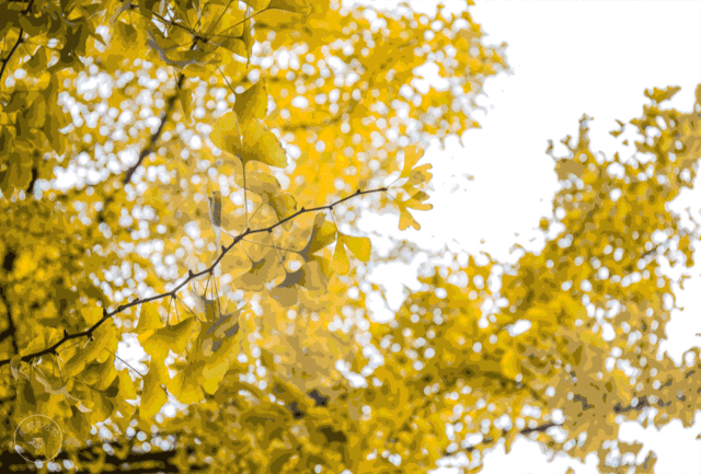 32a4b813f253c3936ee8ccdc31eb701d-sz_1639019 32a4b813f253c3936ee8ccdc31eb701d-sz_1639019