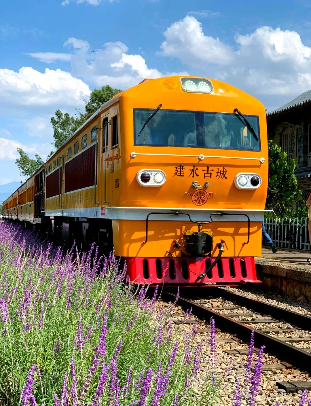 32a8bb040e0b068a72219489774a9d78-sz_558298-1