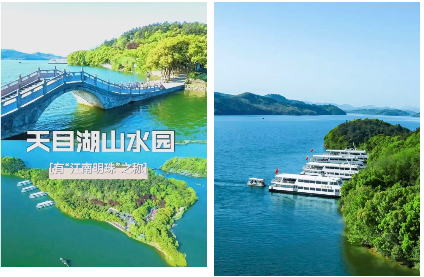 32f5b2faf375a995dd1f3efbcffd5985