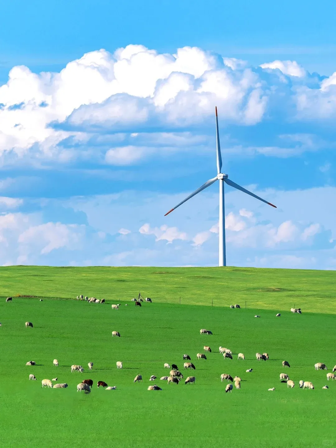 32fa8f52755af59861cafea3f8c60c07-sz_295160 32fa8f52755af59861cafea3f8c60c07-sz_295160