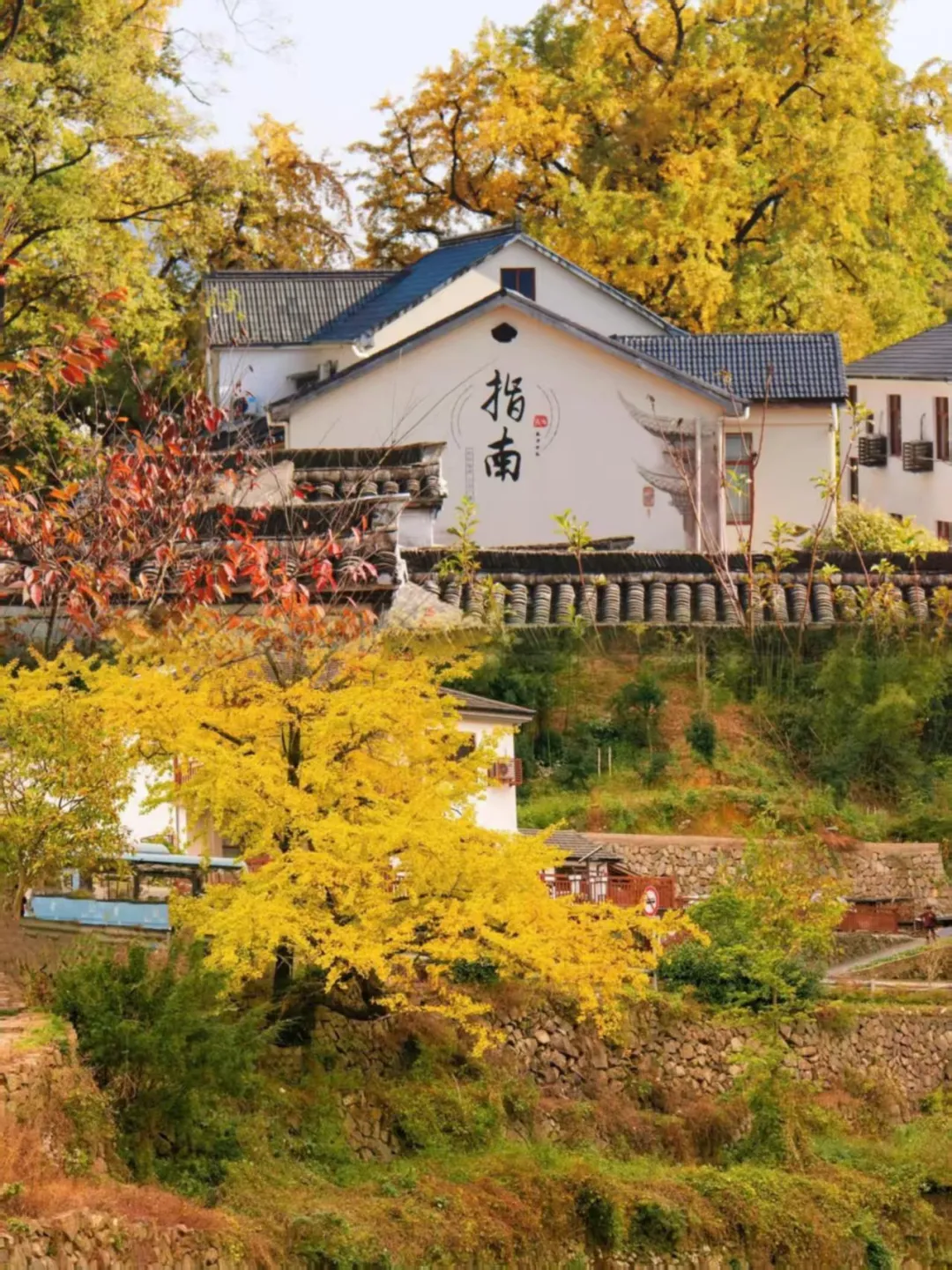 3323360091844ed65b316c010f404733-sz_5883792 3323360091844ed65b316c010f404733-sz_5883792