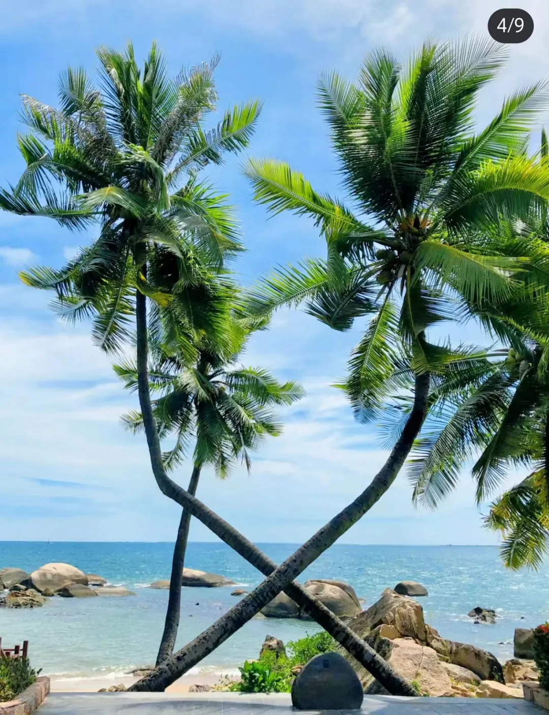 334bcd1620a34709ae7b471ad6427519-sz_1417974-2