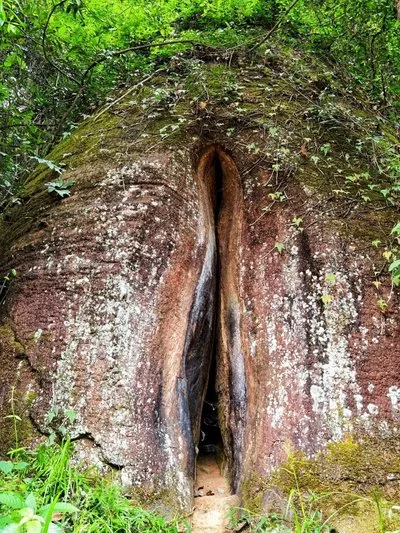 338e8e9d276619891761e4a1877096b8-sz_100991