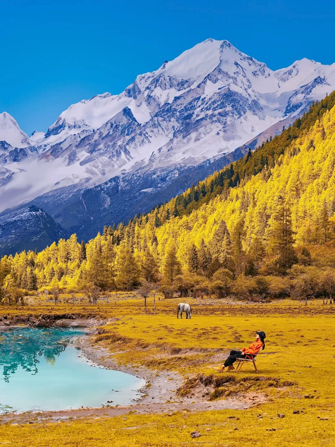 33af6bca06c9bbf8f11ca59144585630-sz_683758