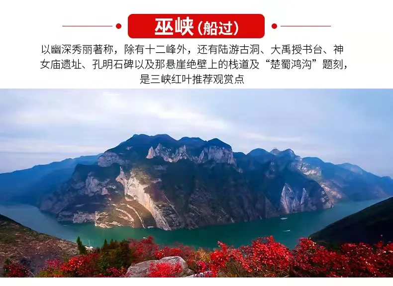 3424da365c59a4f941077086c6c9bdbc-sz_199254 3424da365c59a4f941077086c6c9bdbc-sz_199254