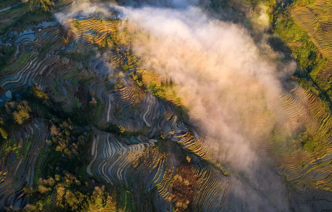 34327a2c1315eb57c800a07600836963-sz_680045 34327a2c1315eb57c800a07600836963-sz_680045