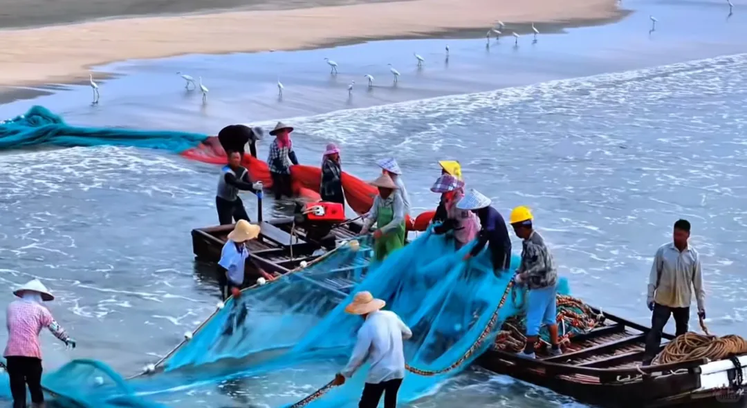 343b31db0db330ee1a9ee58e4d6b3601-sz_2095305