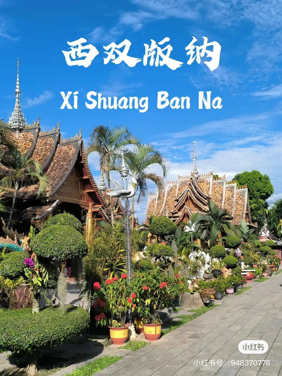 3454006bc39bcedf1a1b2d30309ffe07-sz_800770