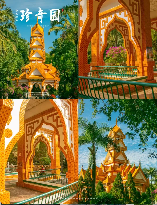 3456f8322faec30b21525b6f0d383456-sz_1765795