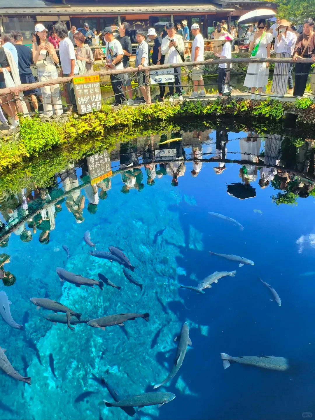 346cb819d51a75e67269ac83787db43f-sz_523457 346cb819d51a75e67269ac83787db43f-sz_523457