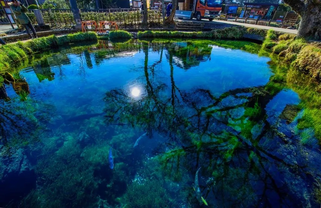 346df6b9ab37eb2f3ab23ac144e96a7d-sz_168406 346df6b9ab37eb2f3ab23ac144e96a7d-sz_168406