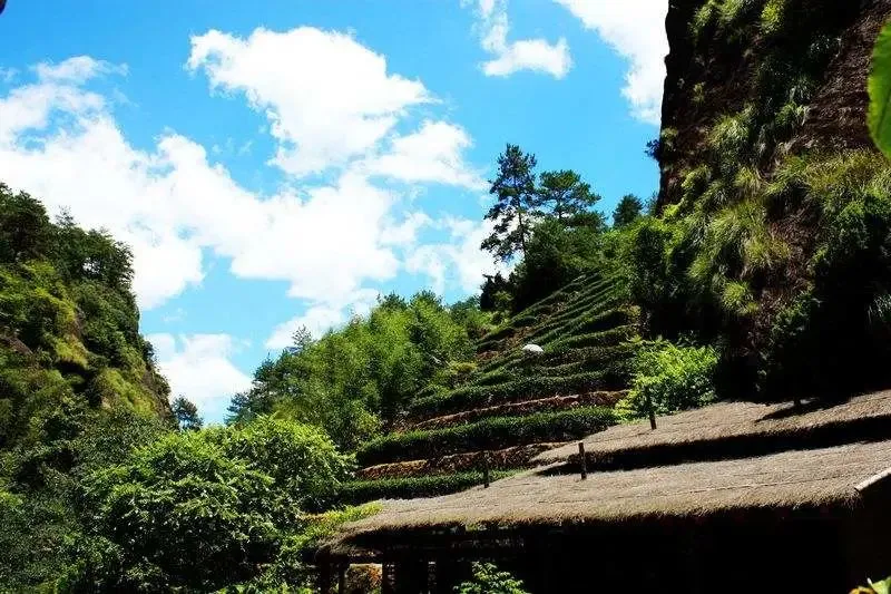 348605c8ebbe2eef9fb035d223ada3ec-sz_110965