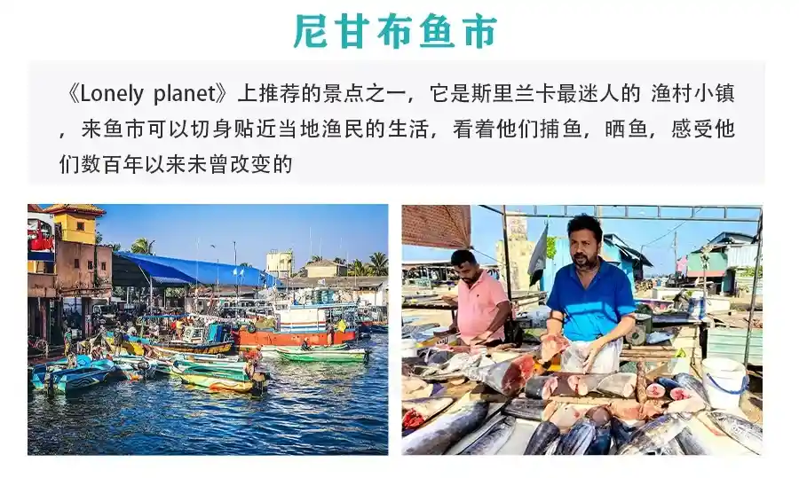 34a852cf25fee7509b1a33b462b54648