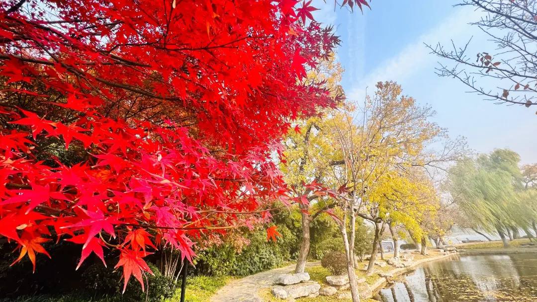 34b4113fa64579b0eb407516979aef6d-sz_2163166