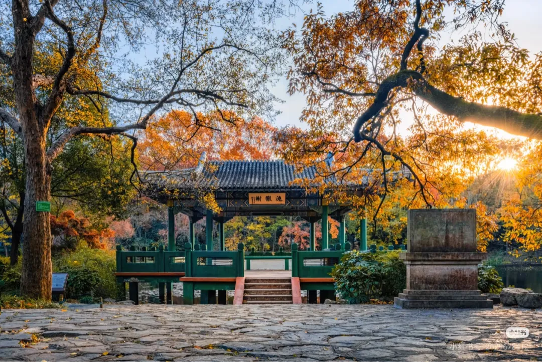 3519cd10d3c67143e016776147213893-sz_1332819