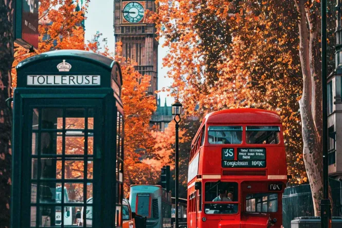 3520bb547bcf56bad61403e2201b3b81-sz_958173