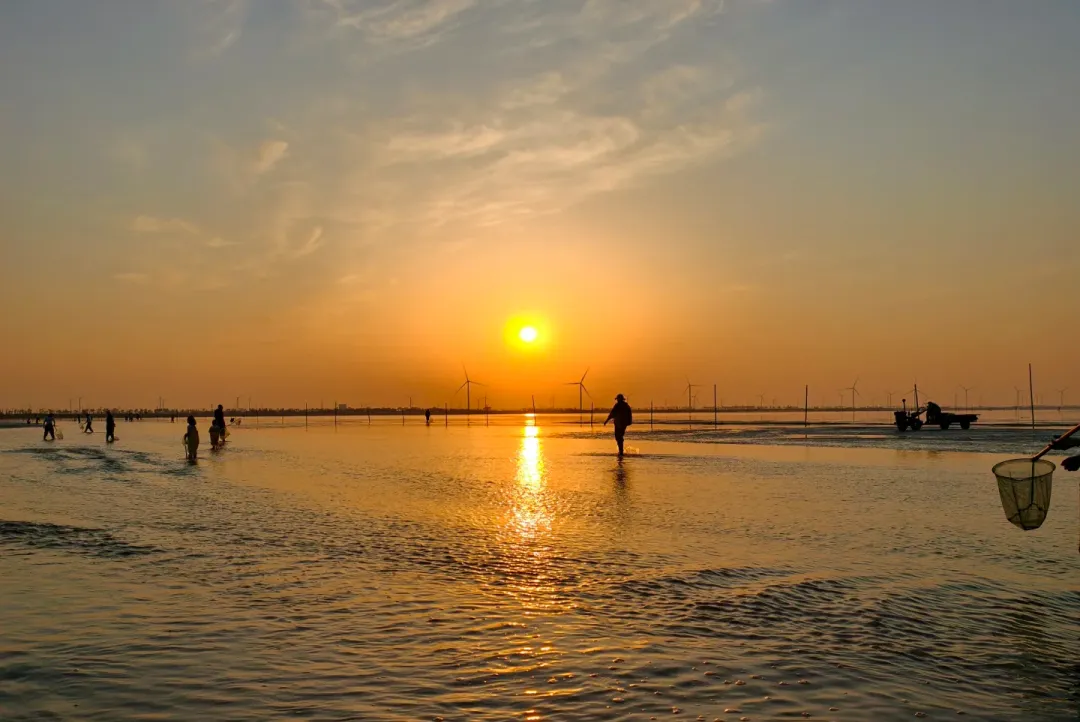 355a50bd4b4e90a8e26ab66f36804af6-sz_2077881