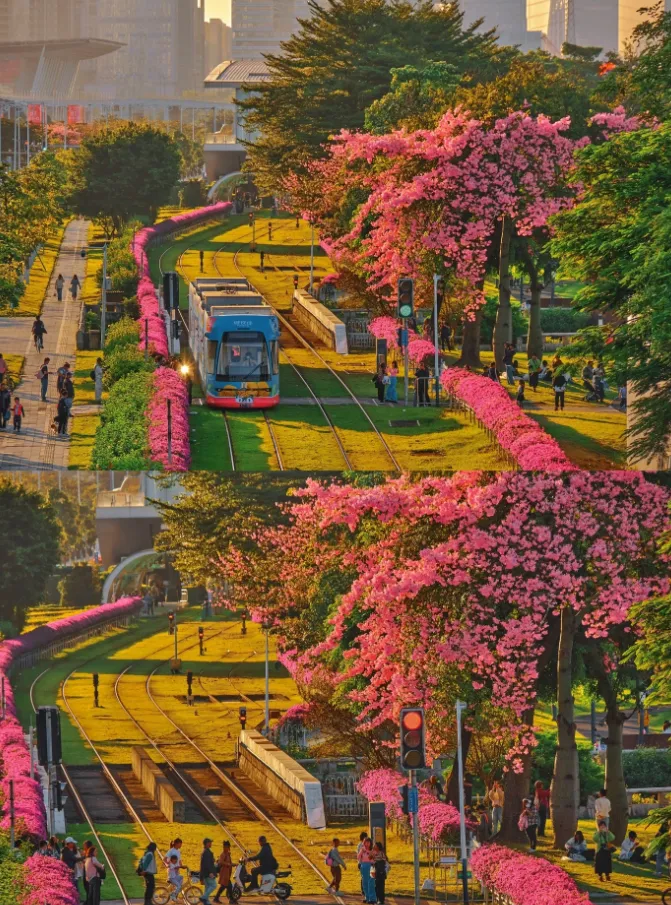 357ea1c925501886f18e7bfddfd3135b-sz_1895989 357ea1c925501886f18e7bfddfd3135b-sz_1895989