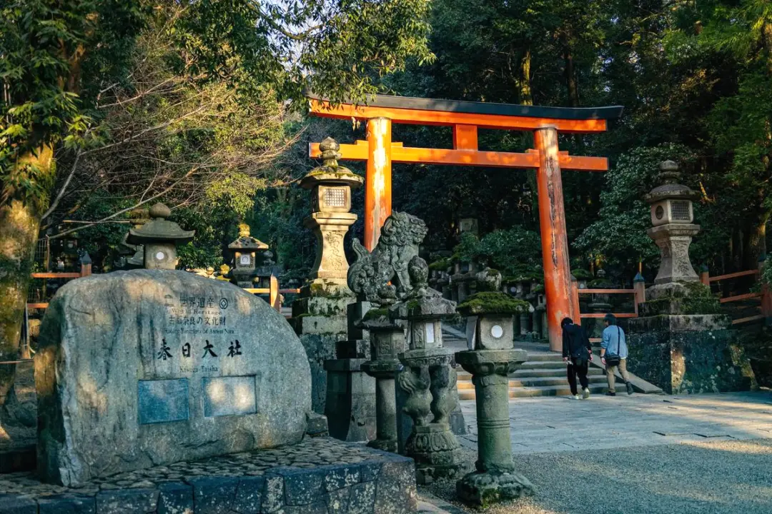 357f895f902ee6780e089938fecf5b87-sz_248487 357f895f902ee6780e089938fecf5b87-sz_248487