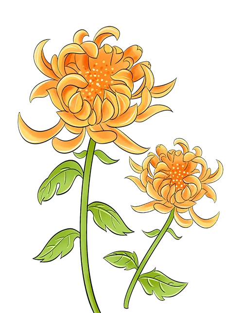 35c6028e3d7369953d2d57b7a325fd01_sz-234764 35c6028e3d7369953d2d57b7a325fd01_sz-234764