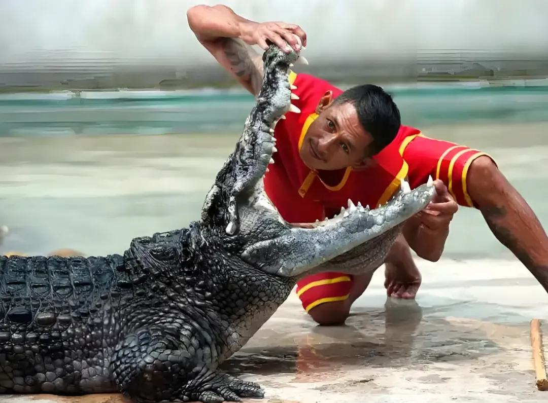 35e6223278345897d8c6ebaed68dd1b8-sz_1382548