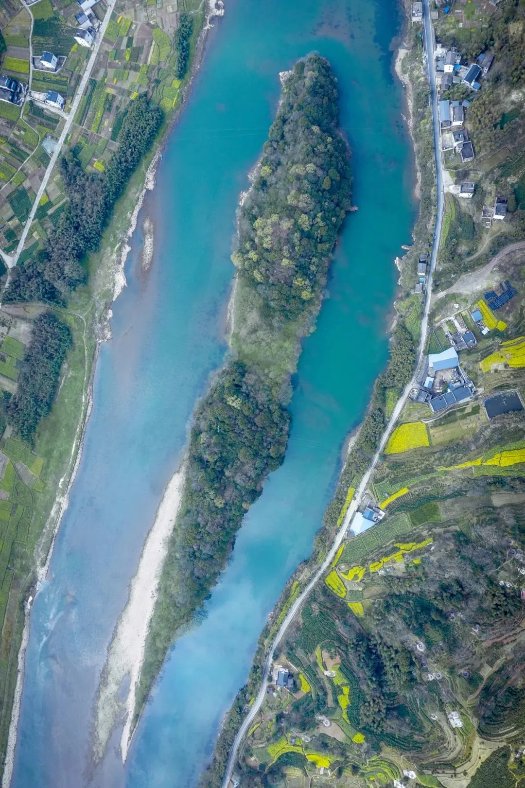 3652a57d870b4945193ac99ad68f4969-sz_354528-1