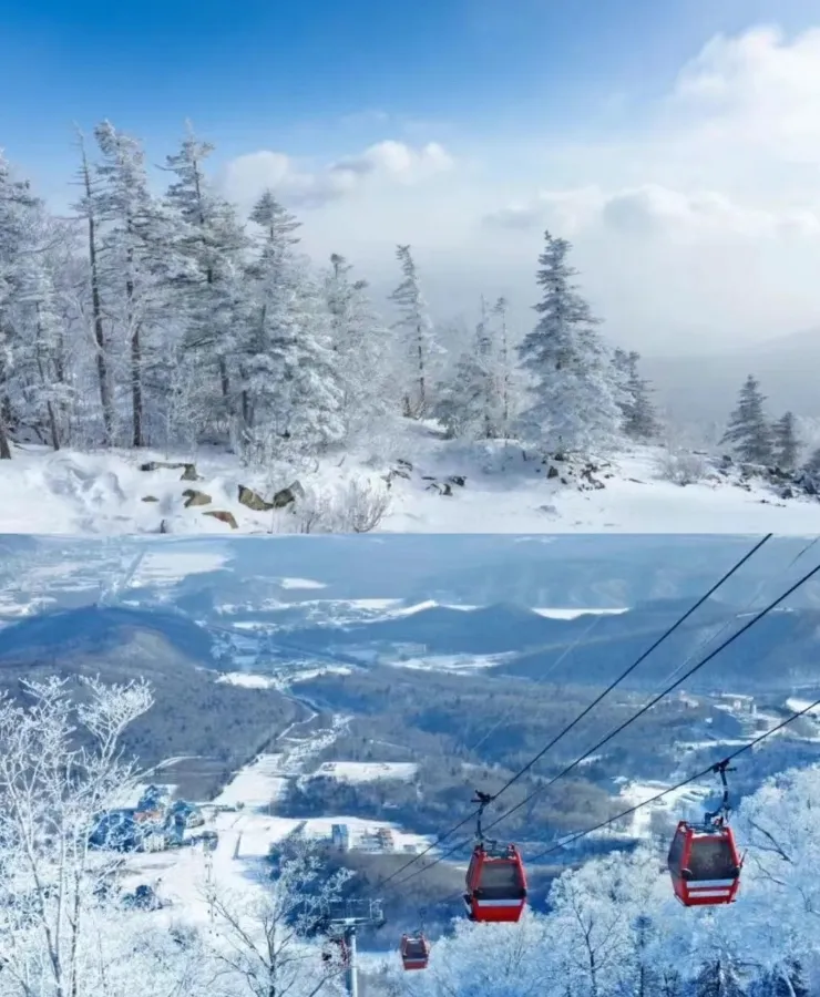 365c4c28f71b36ec91703530c55969ad-sz_429172