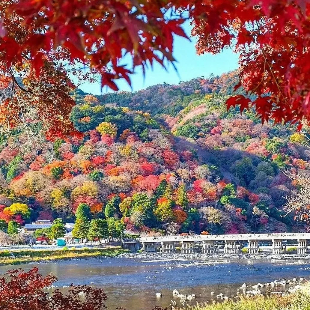 366dbd55bf5d1a7cd200bedad3c608fa-sz_701842 366dbd55bf5d1a7cd200bedad3c608fa-sz_701842