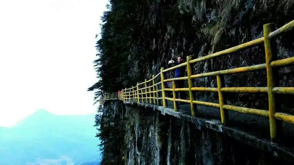 367813f42196a0cf2efb3010600acfdd-sz_67259 367813f42196a0cf2efb3010600acfdd-sz_67259