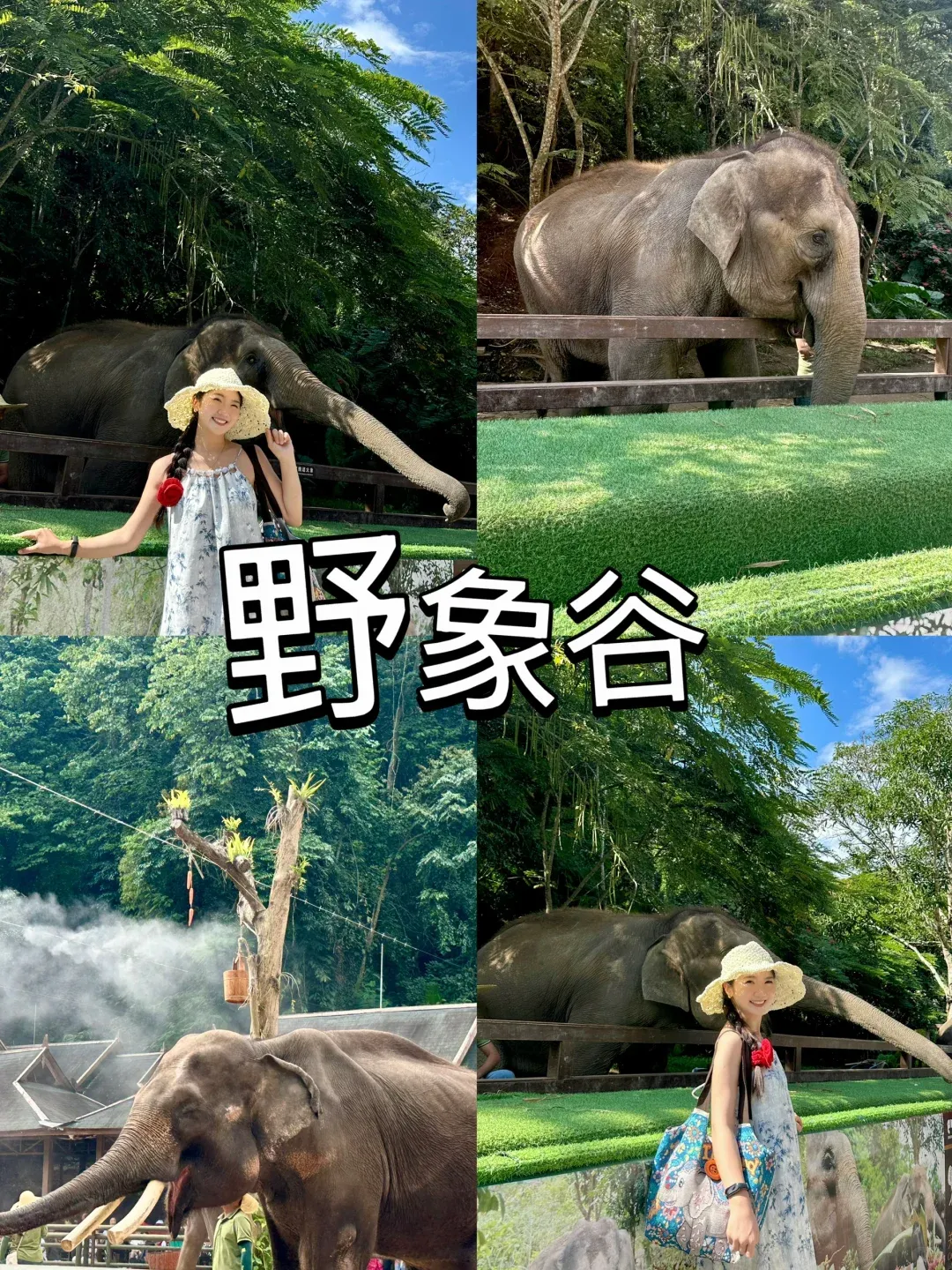 368a3ed1d7e9aa3d2d87262d52ec86d5-sz_4077598