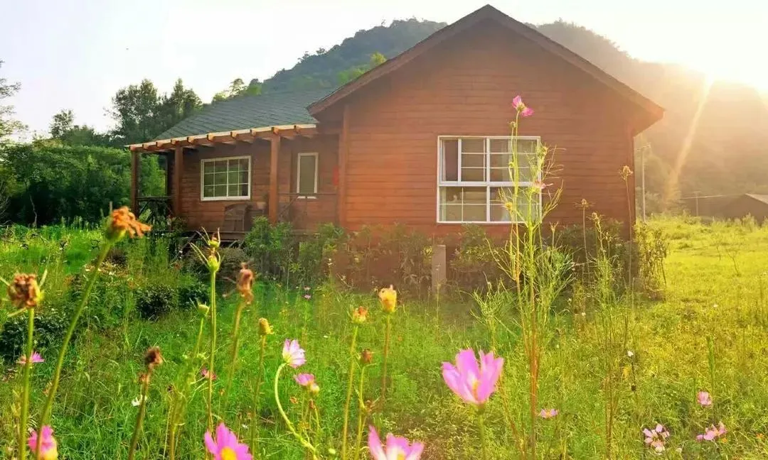 368dbf2e4ff5ab635e487869bfe16ff1-sz_151337 368dbf2e4ff5ab635e487869bfe16ff1-sz_151337