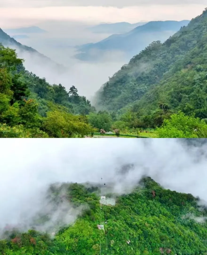 36ad2de2ab3416a418c2b4b1b15f34d6-sz_538373