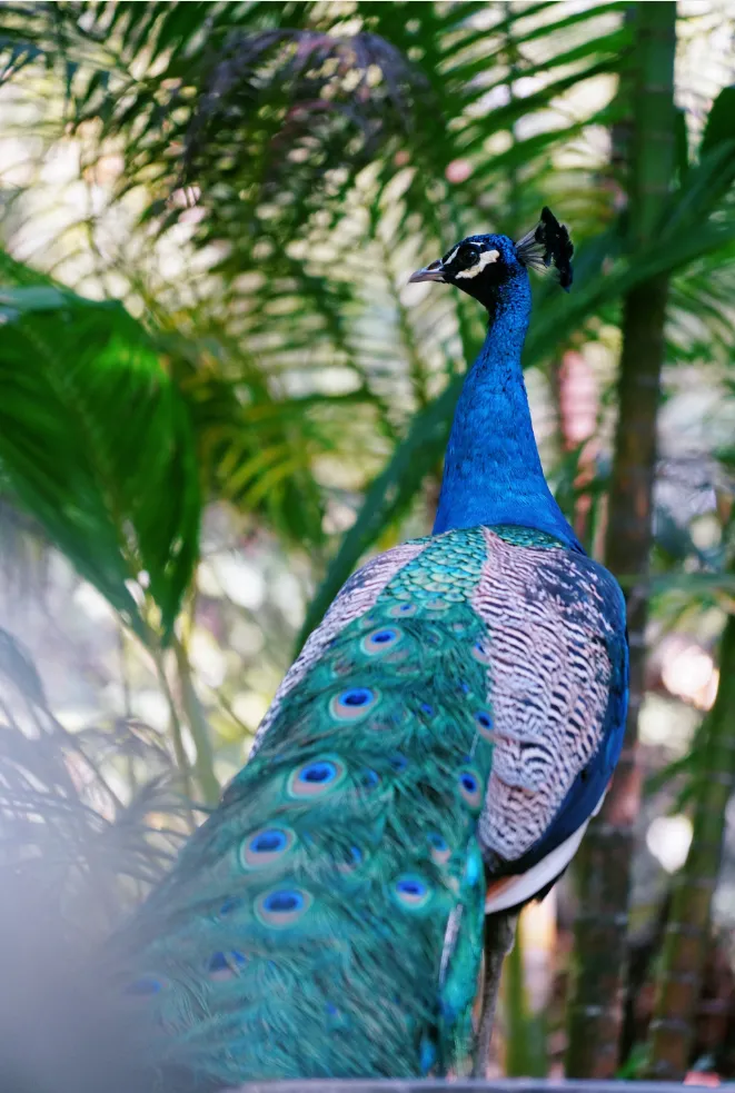 36f538b06862c46b9a65ce4fb067a722-sz_2025587-2