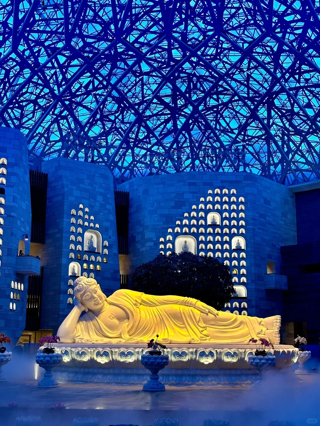 37993ac26d2e2bee1209bb46785debf0-sz_3477280 37993ac26d2e2bee1209bb46785debf0-sz_3477280