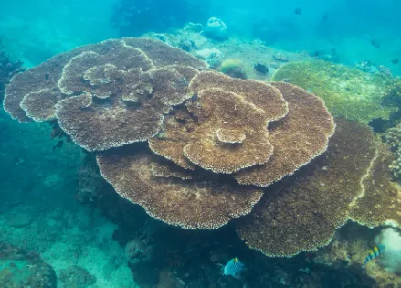 379f39ac5ce581cd0a5a8d456d11798c-sz_403910 379f39ac5ce581cd0a5a8d456d11798c-sz_403910