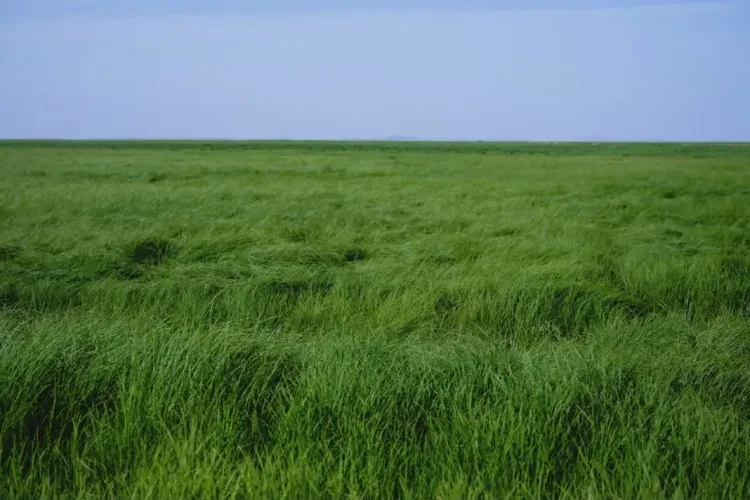 37a6aa44d8d09562e51d093ad8d43aa9-sz_1047824