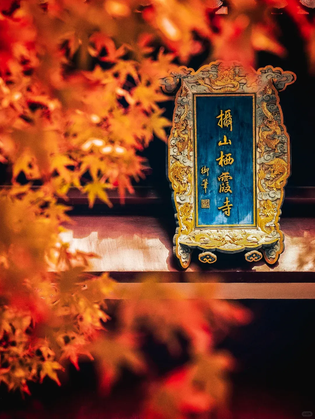 37b24377949921ae4a062f9a4c75bf8f-sz_2519115 37b24377949921ae4a062f9a4c75bf8f-sz_2519115