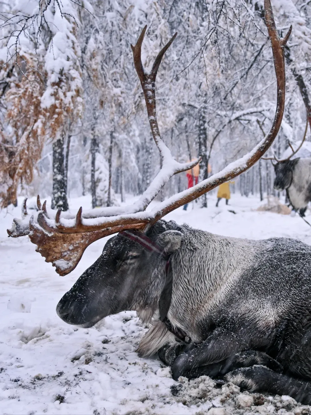 37e193c4775b80b08c1577c8a414b24c-sz_3404379