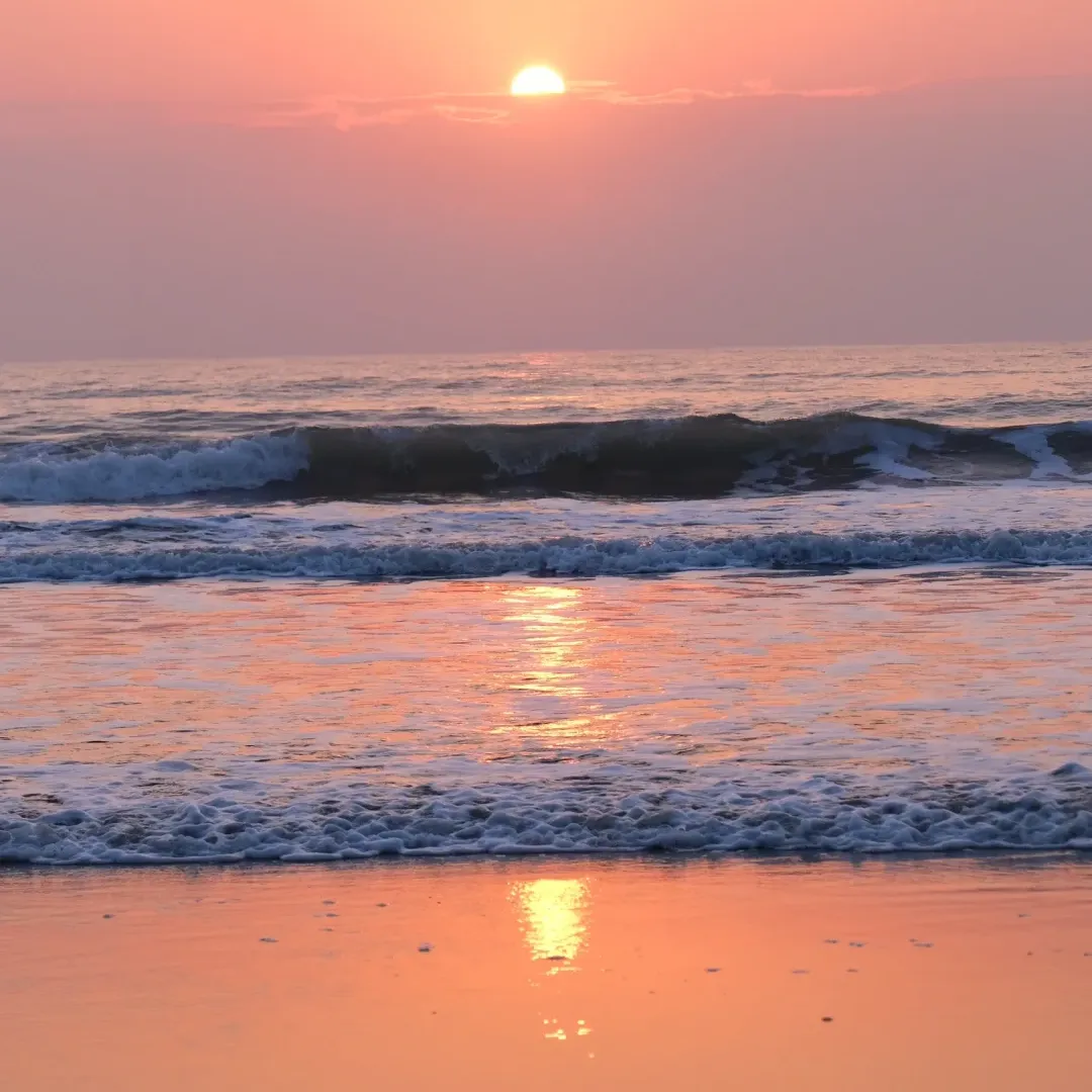 37f862b5f0344f4dd5c5614980ec7af8-sz_1515154 37f862b5f0344f4dd5c5614980ec7af8-sz_1515154